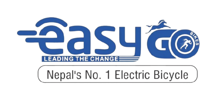 Easygo Electric Scooter